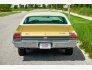1969 Chevrolet Chevelle for sale 101795820
