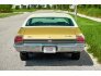 1969 Chevrolet Chevelle for sale 101795911
