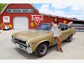 1969 Chevrolet Nova for sale 101658798