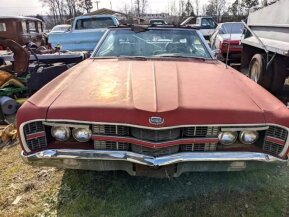 1969 Ford Galaxie for sale 101715728