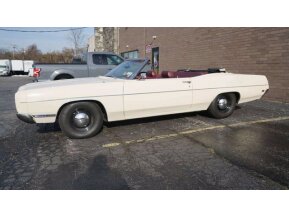1969 Ford Galaxie for sale 101719840