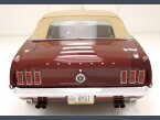Thumbnail Photo 6 for 1969 Ford Mustang Convertible