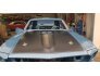1969 Ford Mustang for sale 101425944