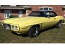 1969 Pontiac Firebird for sale 101585286