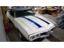 1969 Pontiac Firebird Convertible for sale 101796699