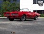 1969 Pontiac GTO for sale 101688331