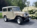 Thumbnail Photo 2 for 1969 Toyota Land Cruiser for Sale by Owner