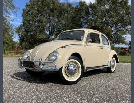 Photo 1 for 1969 Volkswagen Beetle
