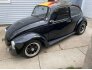 1969 Volkswagen Beetle Coupe for sale 101605200