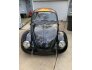1969 Volkswagen Beetle Coupe for sale 101605200