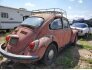 1969 Volkswagen Beetle for sale 101765788