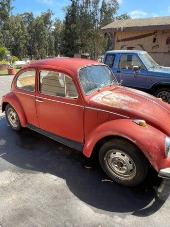 1969 Volkswagen Beetle