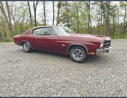 Photo 1 for 1970 Chevrolet Chevelle SS