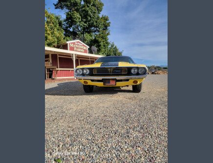 Photo 1 for 1970 Dodge Challenger R/T with Special Edition for Sale by Owner