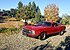 1970 Ford Mustang Mach 1 Coupe for sale 101222405