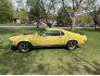1970 Ford Mustang Mach 1 Coupe for sale 101824450