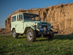 1970 Toyota Land Cruiser for sale 101824429