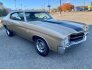 1971 Chevrolet Chevelle SS for sale 101647421