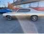1971 Chevrolet Chevelle SS for sale 101647421