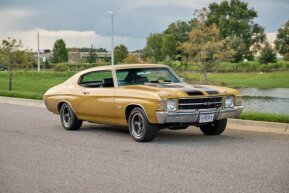 1971 Chevrolet Chevelle SS for sale 102019138