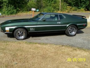 1971 Ford Mustang for sale 101862541