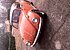 1971 Volkswagen Beetle for sale 101208793