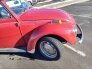 1971 Volkswagen Beetle Convertible for sale 101585330