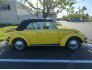 1971 Volkswagen Beetle Convertible for sale 101824648