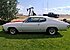 1972 Chevrolet Chevelle for sale 101189502