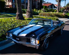 1972 Chevrolet Chevelle SS for sale 101997898