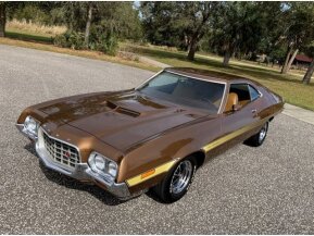 1972 Ford Torino for sale 101843238