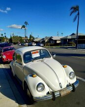 1972 Volkswagen Beetle Coupe for sale 101891863