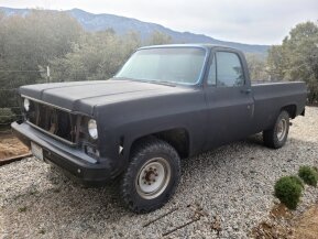 1973 Chevrolet C/K Truck C20 for sale 101856033