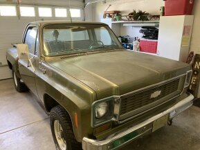 1973 Chevrolet C/K Truck Custom Deluxe for sale 101743610
