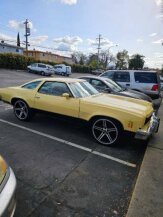 1973 Chevrolet Chevelle SS for sale 102008558
