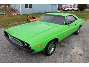 1973 Dodge Challenger for sale 101482255