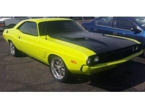 1973 Dodge Challenger for sale 101585783