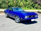Thumbnail Photo 3 for 1973 Ford Mustang