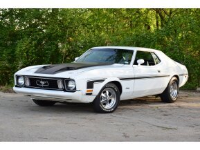 1973 Ford Mustang Coupe for sale 101736134
