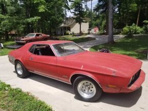 1973 Ford Mustang for sale 101585829