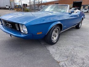 1973 Ford Mustang for sale 101682286