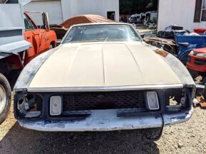 1973 Ford Mustang for sale 101715362