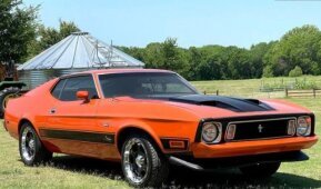 1973 Ford Mustang for sale 101739046