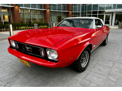 1973 Ford Mustang for sale 101791482