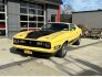 1973 Ford Mustang for sale 101818574