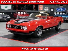 1973 Ford Mustang for sale 101891530