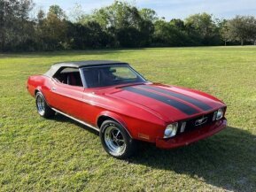 1973 Ford Mustang for sale 101912747