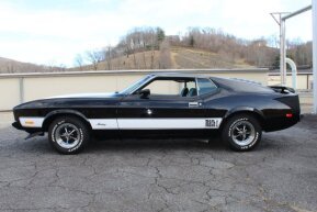 1973 Ford Mustang for sale 102019622