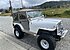 1973 Jeep CJ-5 for sale 101328468