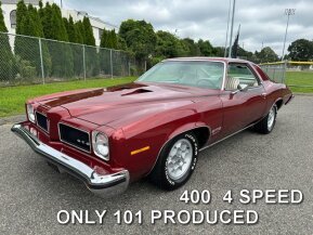 1973 Pontiac GTO for sale 101934575